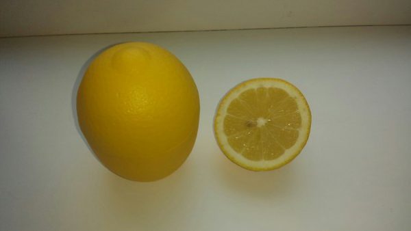 Лимонница для хранения лимона