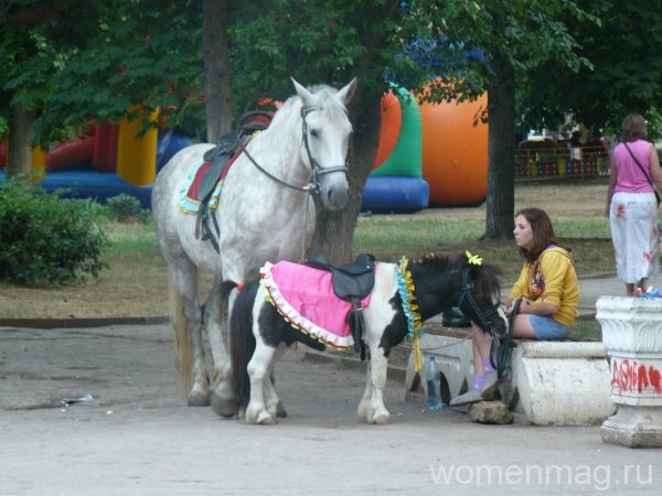 Конные прогулки в парке Победы в Севастополе