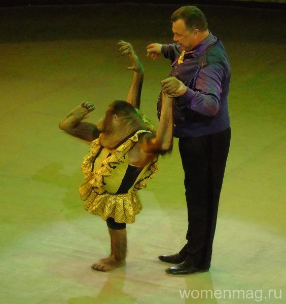 Гастроли «Циркъ № 1» в Хабаровске