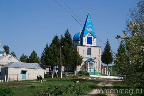 Украинское село Перелеты