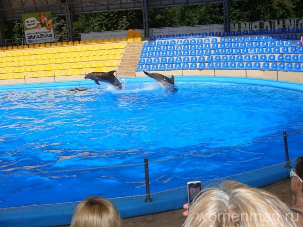 Дельфинарий «Немо» в Харькове