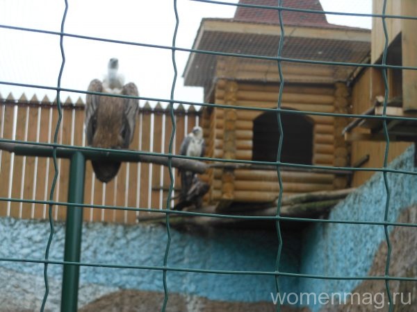 Нижегородский зоопарк Лимпопо