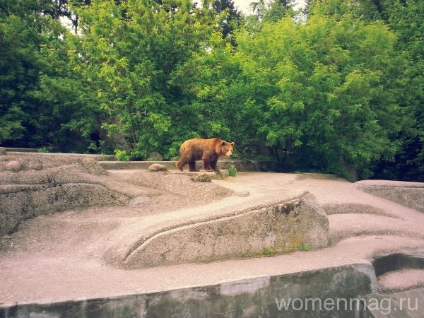 Зоопарк в Варшаве