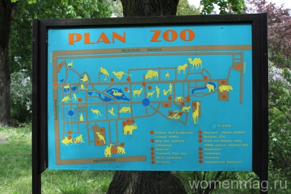 Зоопарк в Варшаве