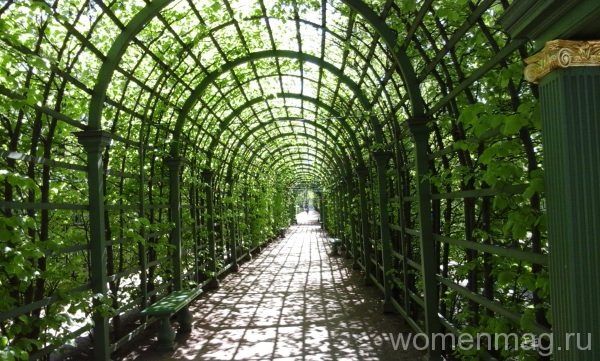 Зеленые туннели