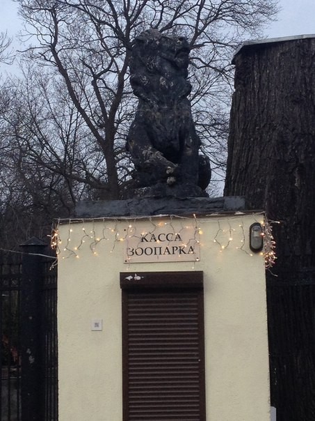 Зоопарк Калининграда