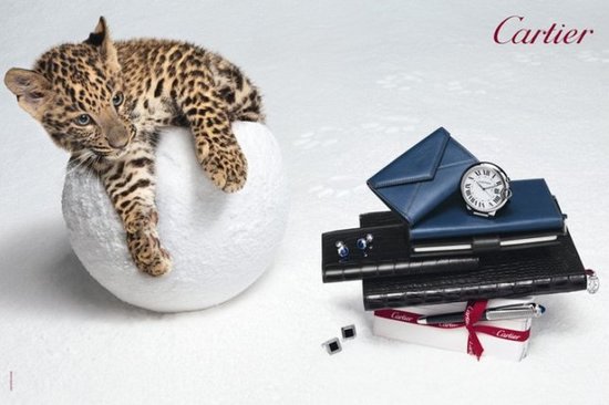 Снежная зимняя сказка пантеры: рекламная кампания Cartier 2010