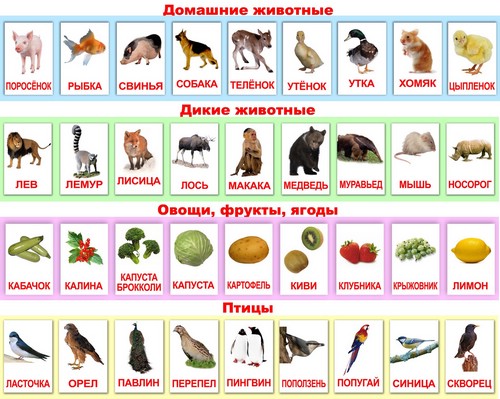 Карточки Домана