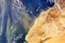 Пылевые бури в пустыне Сахара разносят вредные бактерии и грибы по всему миру