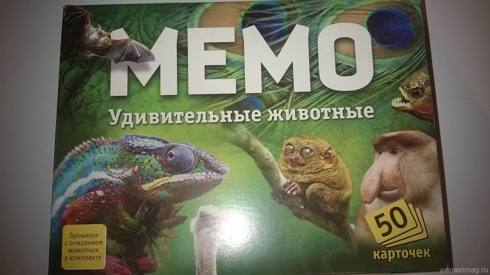 Обзор игры «Мемо. Удивительные животные»