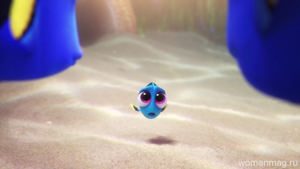 Отзыв о мультфильме «В поисках Дори» (Finding Dory, 2016)