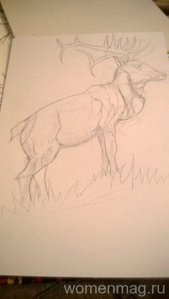 Рисование оленя
