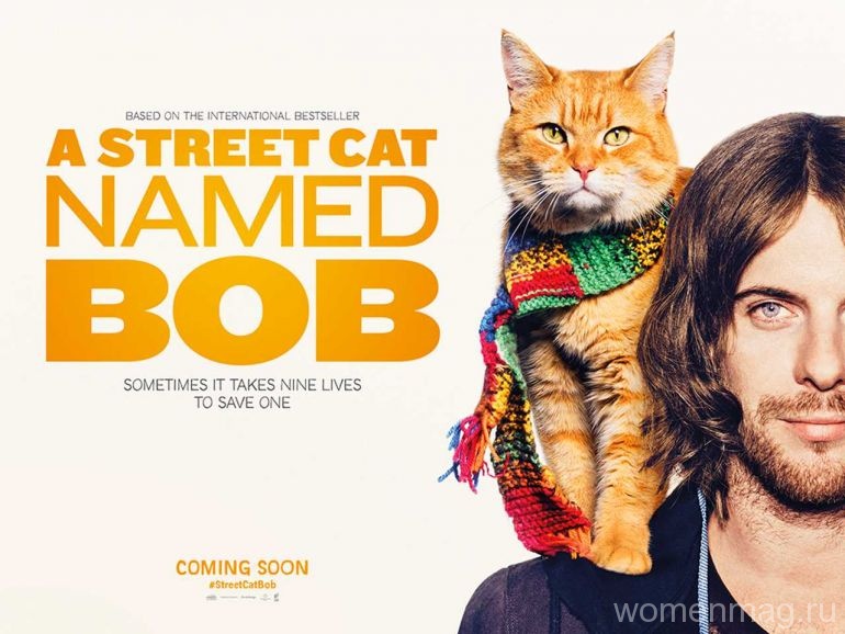 Описание фильма «Уличный кот по кличке Боб» (A Street Cat Named Bob, 2016)