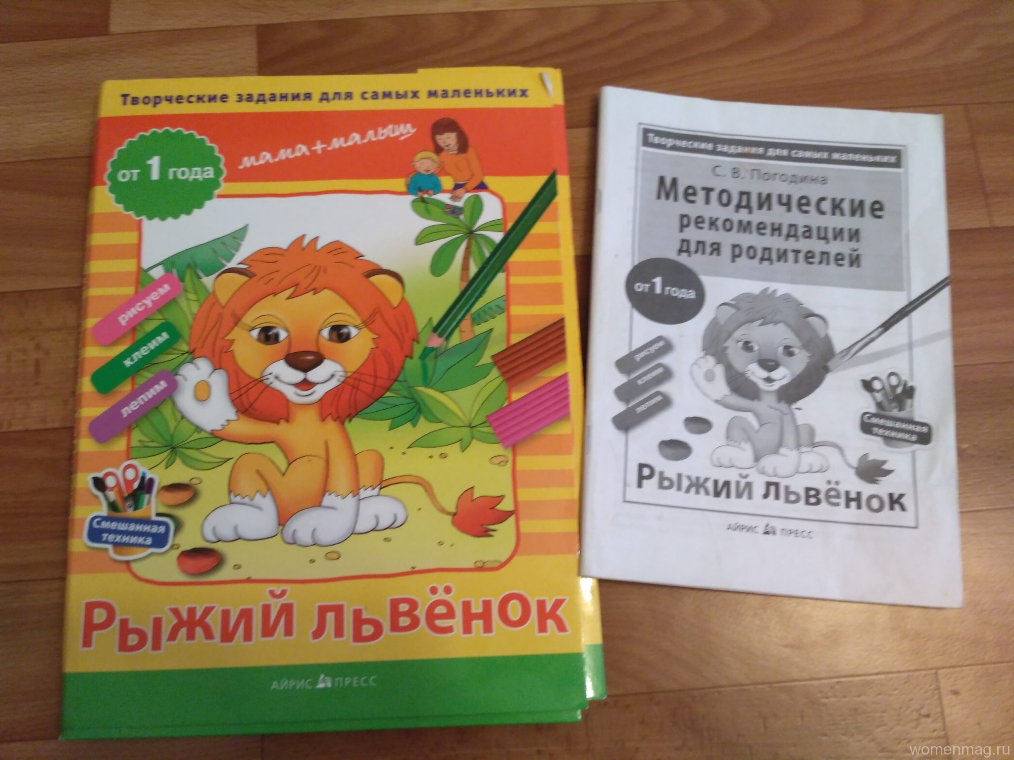 Творческие задания «Рыжий львенок» от 1 года. Отзыв