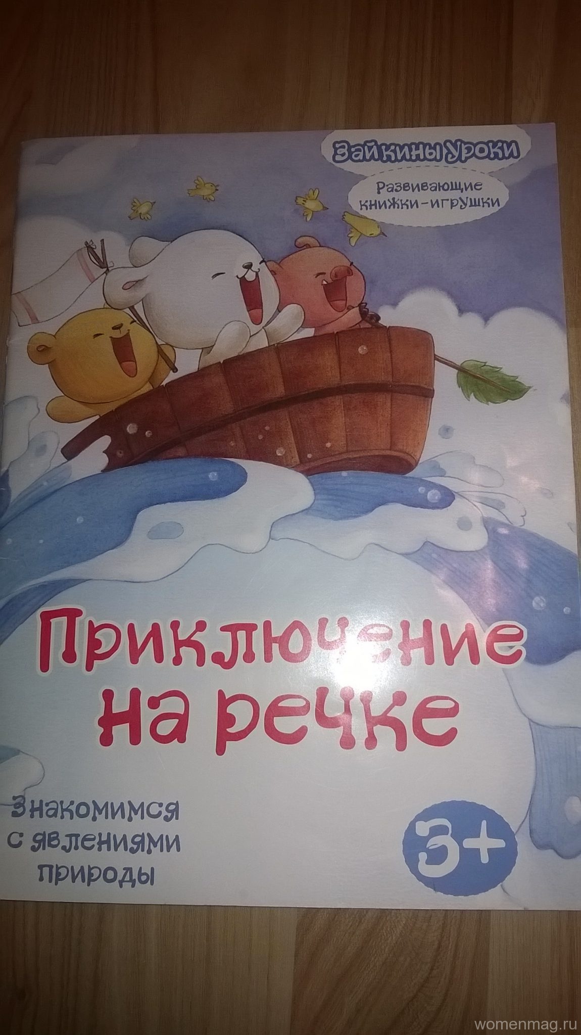 Обзор развивающей книжки-игрушки «Приключения на речке» из серии «Зайкины уроки» (знакомимся с явлениями природы) 3+. Отзыв