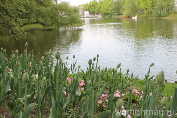 Парк Королевские Лазенки в Варшаве